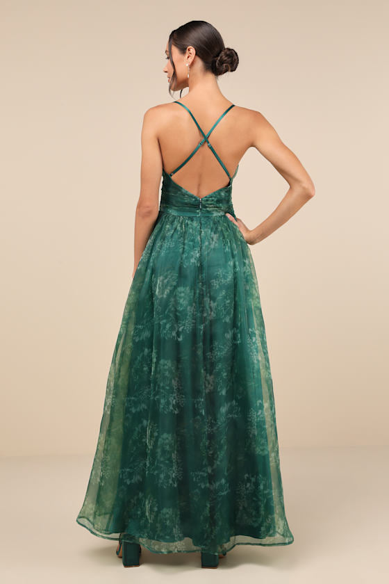 Romance That Wows Blush Floral Print Organza Maxi Dress